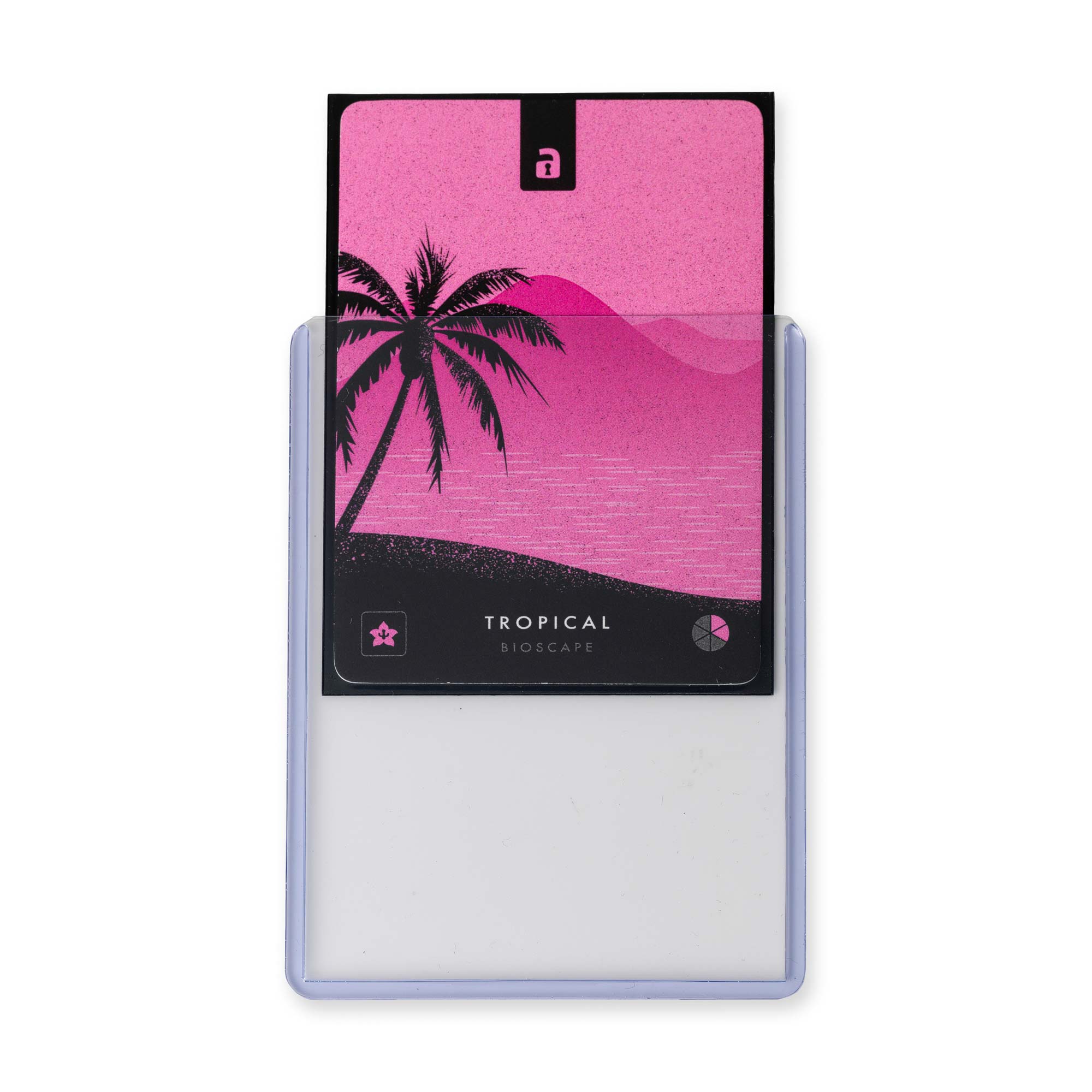 Platinum Protectors 1000-Pack 55 Pt. Clear Top Loaders - Full Case Of Premium Card Holders